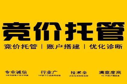 SEO与百度广告的结合：双管齐下的推广案例